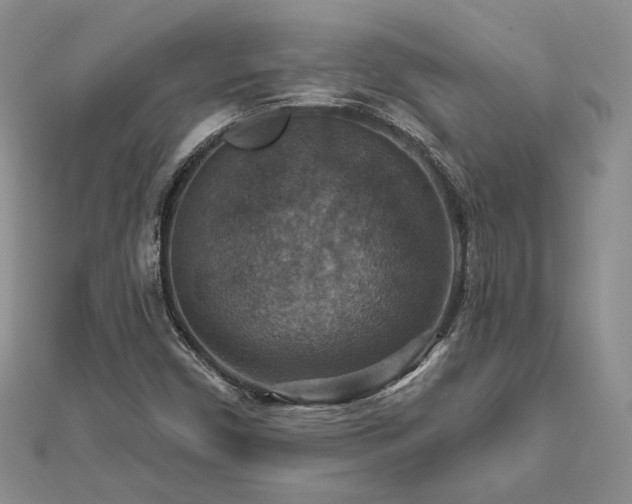 X0000113181450200909041333