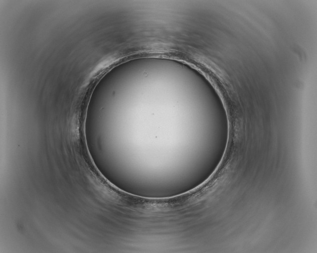 X0000113181451200909041333