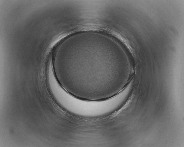 X0000113181453200909041333