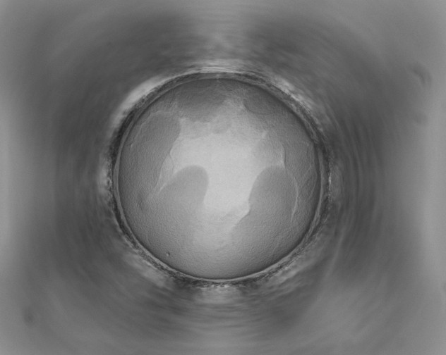 X0000113181454200909041333