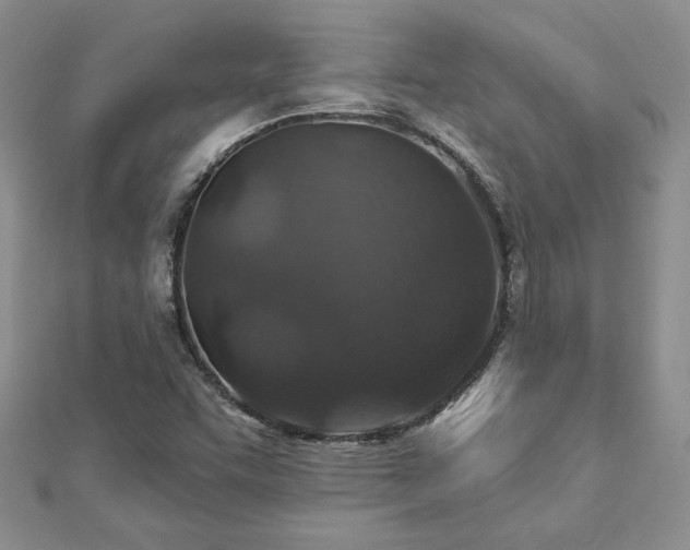 X0000113181455200909041333