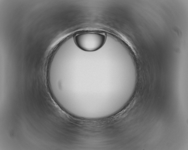 X0000113181456200909041333