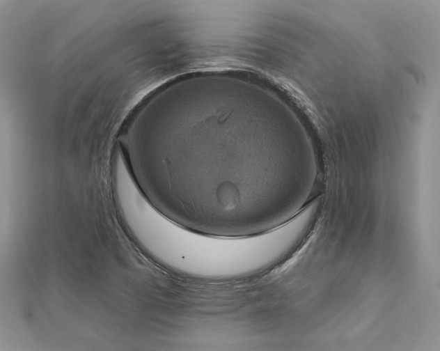 X0000113181457200909041333