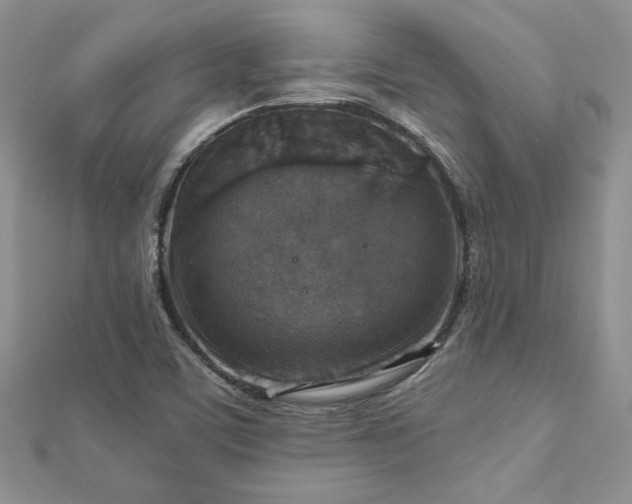 X0000113181459200909041333