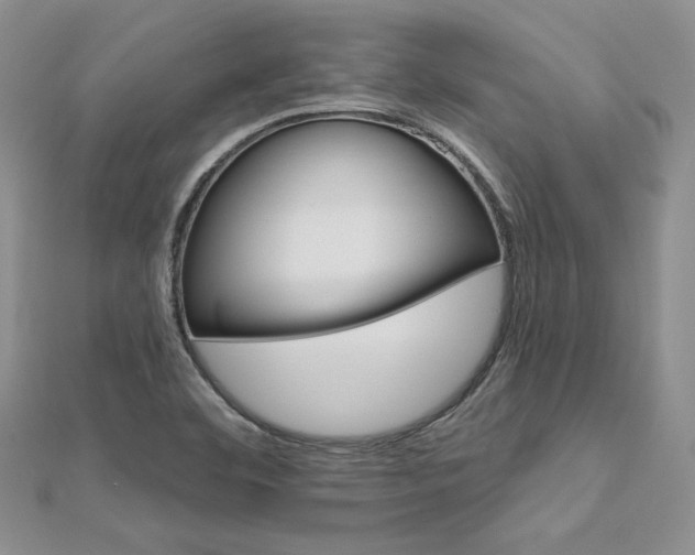 X0000113181460200909041333