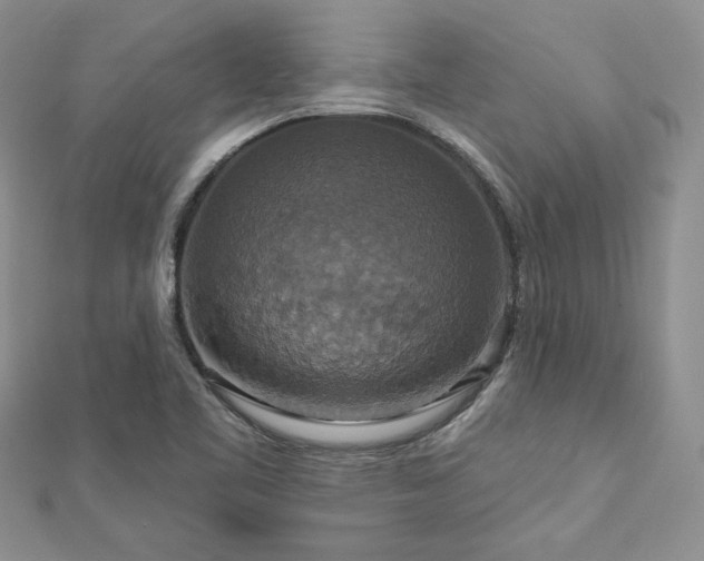 X0000113181461200909041333