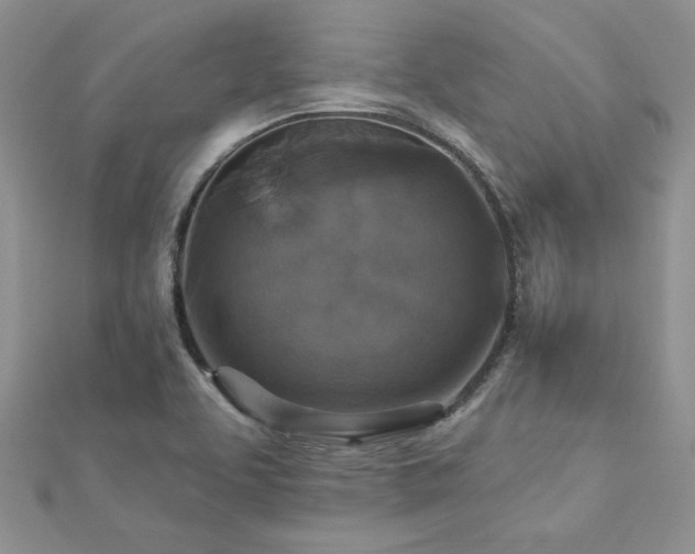 X0000113181463200909041333