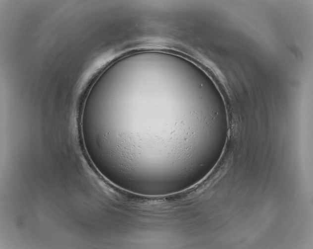 X0000113181464200909041333