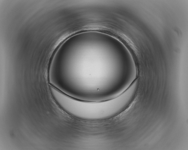 X0000113181465200909041333