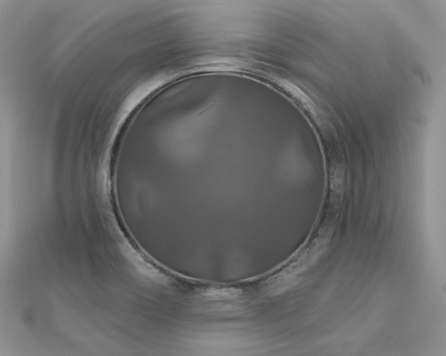 X0000113181466200909041333
