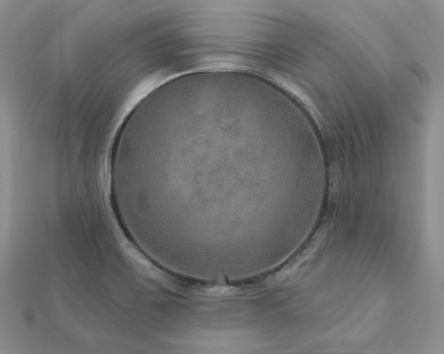 X0000113181467200909041333