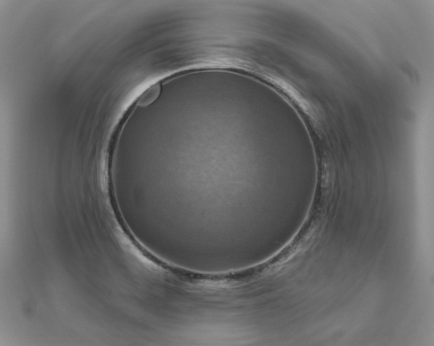 X0000113181468200909041333
