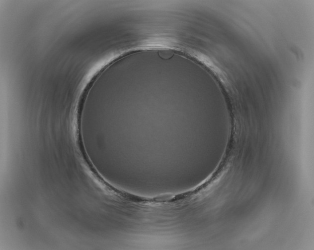 X0000113181469200909041333