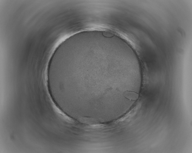 X0000113181471200909041333