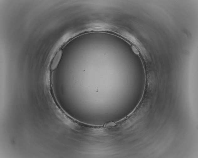 X0000113181472200909041333