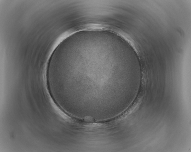 X0000113181475200909041333