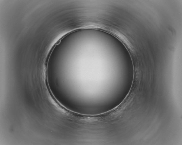 X0000113181476200909041333