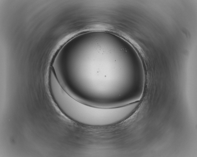 X0000113181477200909041333