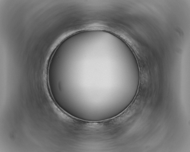 X0000113181478200909041333