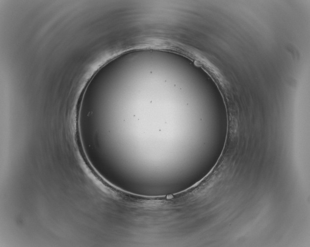X0000113181479200909041333