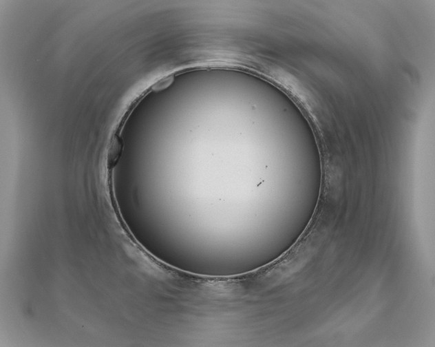 X0000113181480200909041333