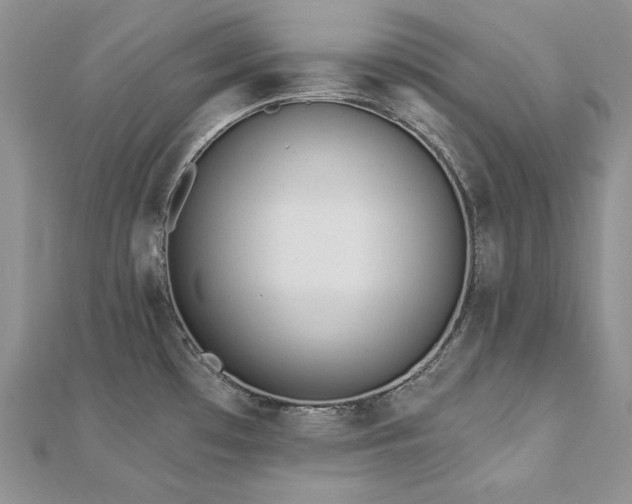 X0000113181481200909041333