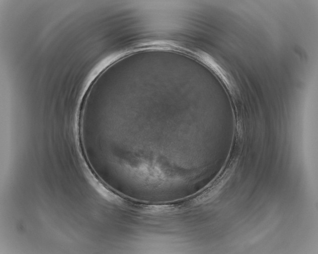 X0000113181482200909041333
