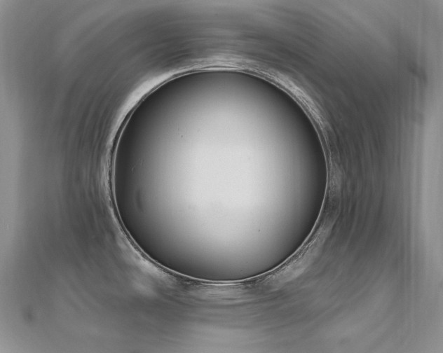 X0000113181486200909041333