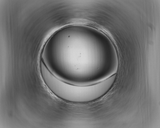 X0000113181488200909041333