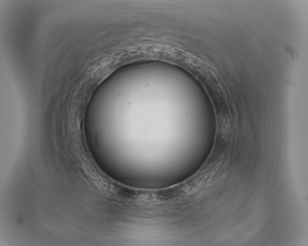 X0000113181489200909041332