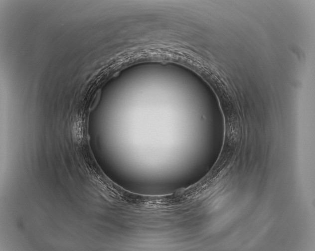 X0000113181490200909041332
