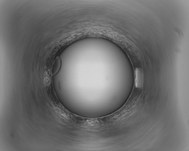 X0000113181491200909041332
