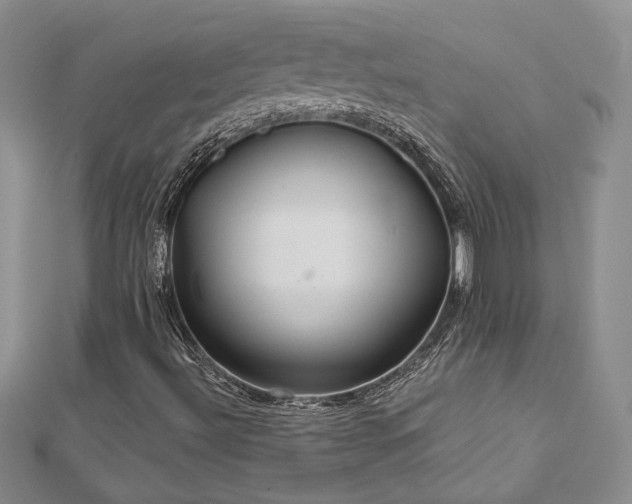 X0000113181492200909041332