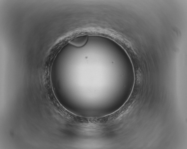 X0000113181494200909041332