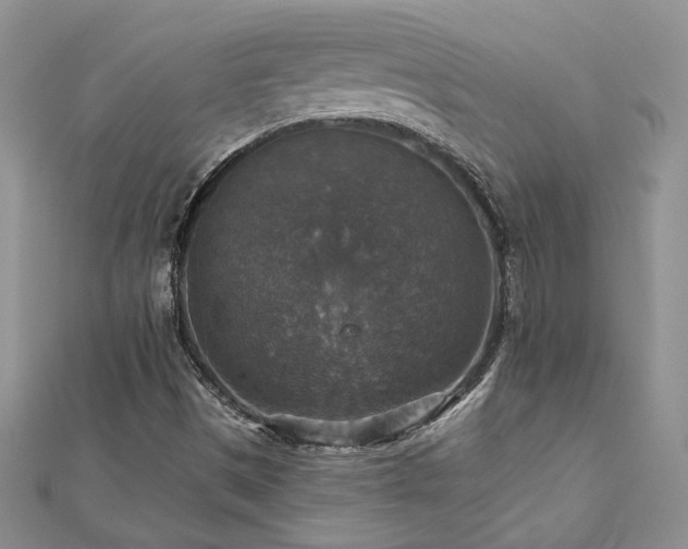 X0000113181497200909041332
