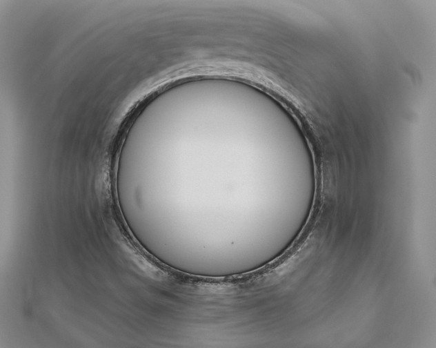 X0000113181498200909041332