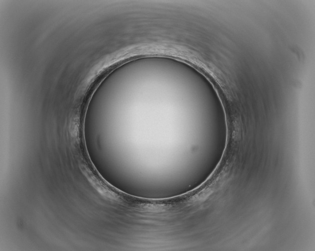 X0000113181499200909041332
