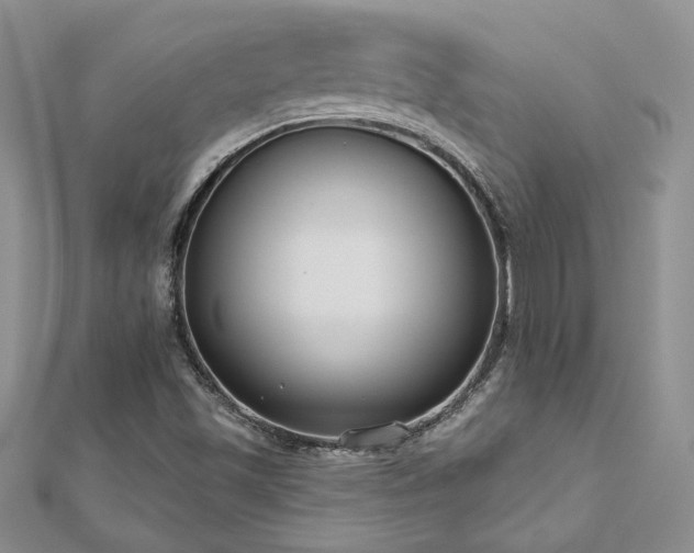 X0000113181501200909041332