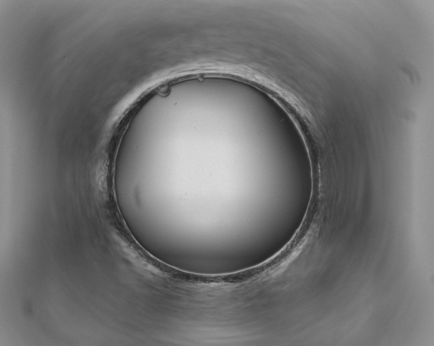 X0000113181502200909041332