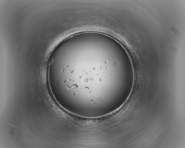 X0000113181504200909041332