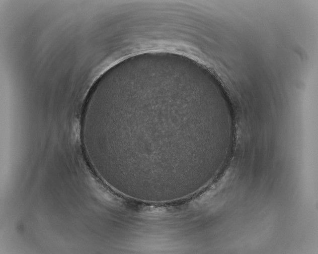 X0000113181505200909041332