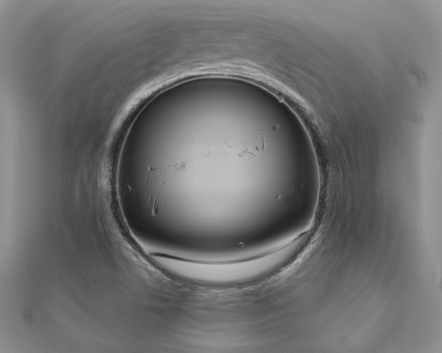 X0000113181506200909041332