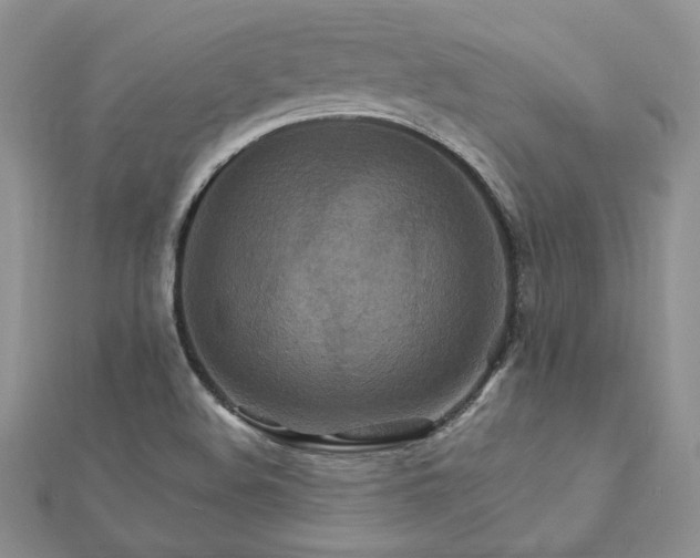 X0000113181508200909041332