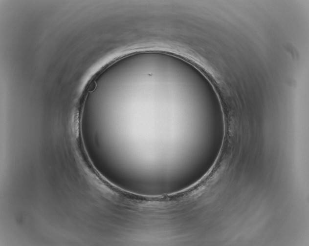 X0000113181510200909041332