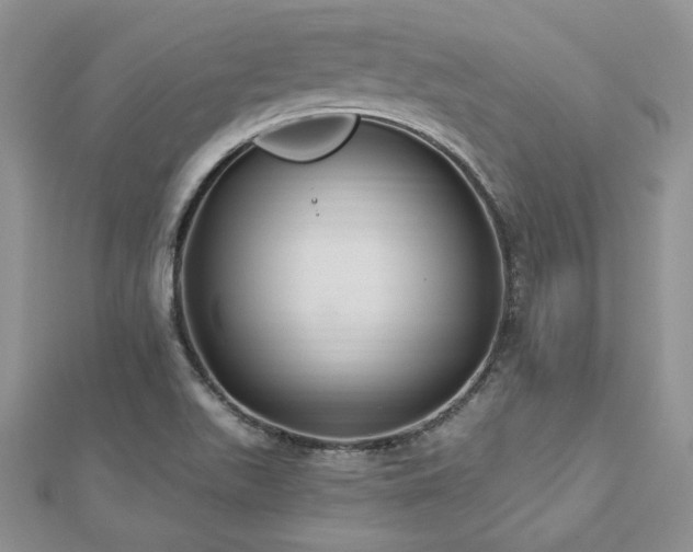 X0000113181511200909041332