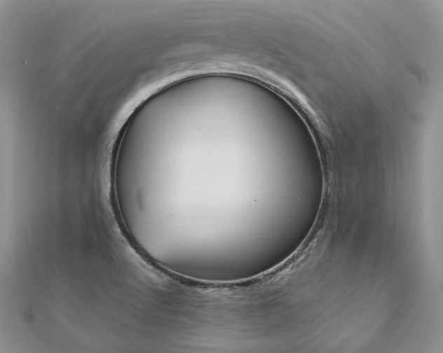 X0000113181512200909041332
