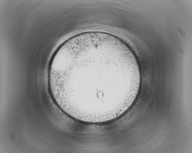 X0000113181514200909041332