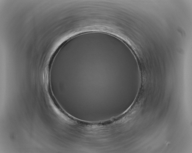 X0000113181515200909041332
