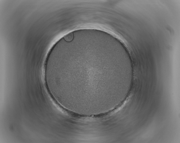X0000113181517200909041332