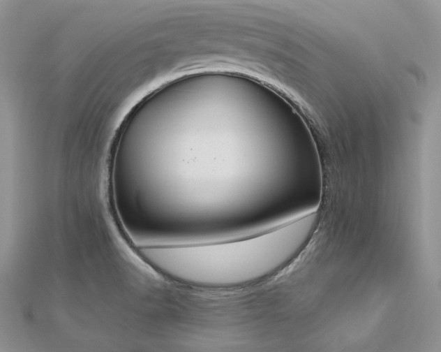 X0000113181518200909041332